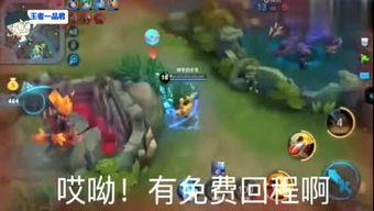 王者爆料小慧君是谁呀视频,王者爆料小慧君的真实身份！